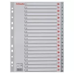Regiszter, műanyag, A4, 1-20, ESSELTE, szürke