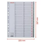 Regiszter, műanyag, A4, 1-54, ESSELTE, szürke