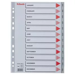 Regiszter, műanyag, A4, Jan-Dec, ESSELTE, szürke