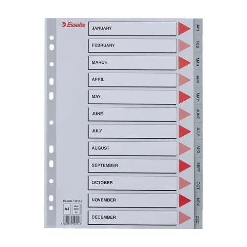 Regiszter, műanyag, A4, Jan-Dec, ESSELTE, szürke