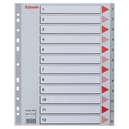Regiszter, műanyag, A4 Maxi, 1-12, ESSELTE, szürke