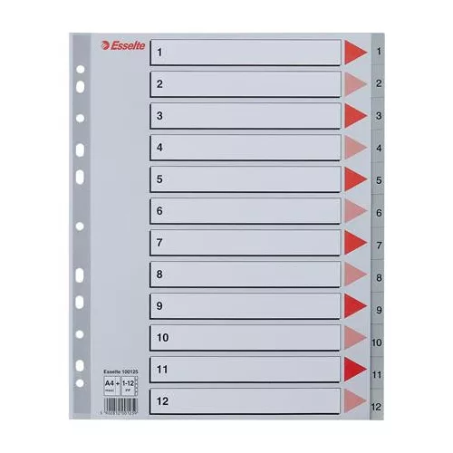 Regiszter, műanyag, A4 Maxi, 1-12, ESSELTE, szürke