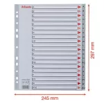 Regiszter, műanyag, A4 Maxi, A-Z, ESSELTE, szürke