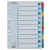 Regiszter, karton, A4, 1-10, ESSELTE "Mylar"