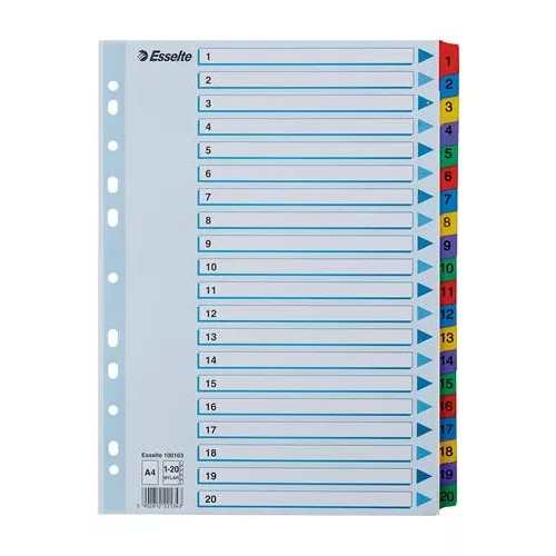 Regiszter, karton, A4, 1-20, ESSELTE "Mylar"