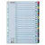 Regiszter, karton, A4, 1-20, ESSELTE "Mylar"