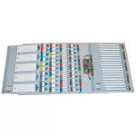 Regiszter, karton, A4, 1-20, ESSELTE "Mylar"