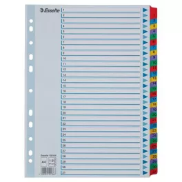 Regiszter, karton, A4, 1-31, ESSELTE "Mylar"