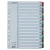 Regiszter, karton, A4, 1-31, ESSELTE "Mylar"