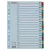 Regiszter, karton, A4, A-Z, ESSELTE "Mylar"