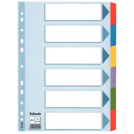   Regiszter, laminált karton, A4, 6 részes, ESSELTE "Mylar"