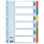 Regiszter, laminált karton, A4, 6 részes, ESSELTE "Mylar"