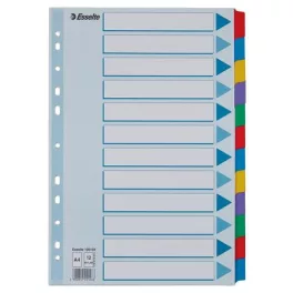   Regiszter, laminált karton, A4, 12 részes, ESSELTE "Mylar"