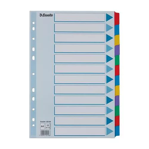Regiszter, laminált karton, A4, 12 részes, ESSELTE "Mylar"