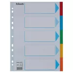 Regiszter, karton, A4, 5 részes, írható előlappal, ESSELTE "Standard", színes