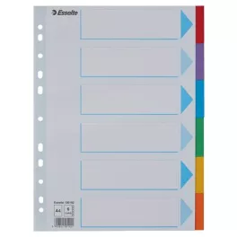   Regiszter, karton, A4, 6 részes, írható előlappal, ESSELTE "Standard", színes