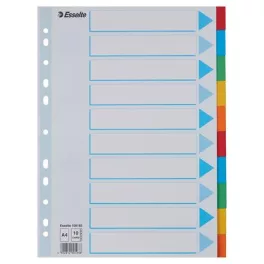   Regiszter, karton, A4, 10 részes, írható előlappal, ESSELTE "Standard", színes