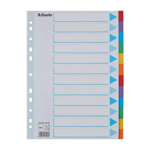 Regiszter, karton, A4, 12 részes, írható előlappal, ESSELTE "Standard", színes
