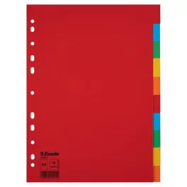   Regiszter, karton, A4, 10 részes, ESSELTE "Economy", színes