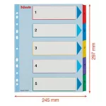 Regiszter, laminált karton, A4 maxi, 1-5, újraírható, ESSELTE