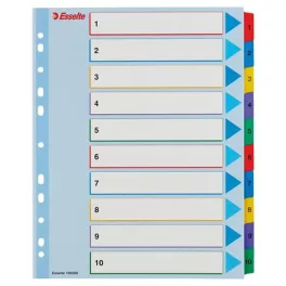   Regiszter, laminált karton, A4 Maxi, 1-10, újraírható, ESSELTE