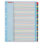 Regiszter, laminált karton, A4 Maxi, 1-31, újraírható, ESSELTE
