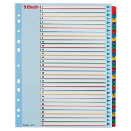   Regiszter, laminált karton, A4 Maxi, 1-31, újraírható, ESSELTE