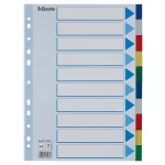 Regiszter, műanyag, A4, 10 részes, ESSELTE