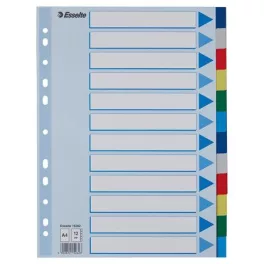 Regiszter, műanyag, A4, 12 részes, ESSELTE