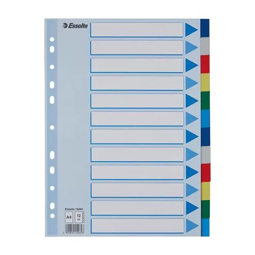 Regiszter, műanyag, A4, 12 részes, ESSELTE