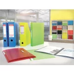 Iratrendező, 50 mm, A4, PP, élvédő sínnel, ESSELTE "Standard", Vivida zöld