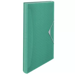   Harmonikamappa, A4, PP, 6 rekeszes, ESSELTE "Colour'Breeze", zöld