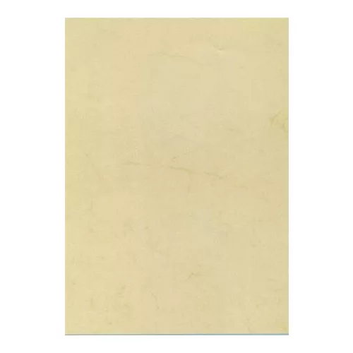 Előnyomott papír, A4, 200 g, APLI, havanna