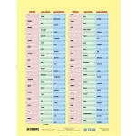 Tanulói munkalap, A4, STIEFEL "Irregular Verbs"